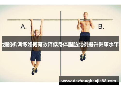 划船机训练如何有效降低身体脂肪比例提升健康水平