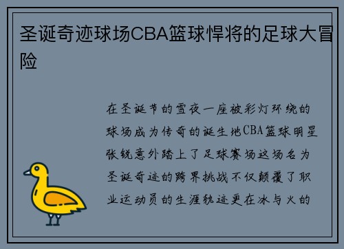 圣诞奇迹球场CBA篮球悍将的足球大冒险