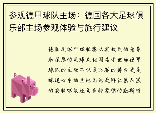 参观德甲球队主场：德国各大足球俱乐部主场参观体验与旅行建议