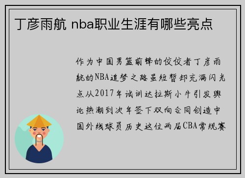 丁彦雨航 nba职业生涯有哪些亮点